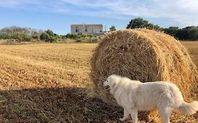 Agriturismo La Palascìa Masseria Agreste